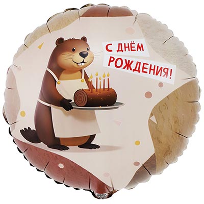  Шар круг 45см ДР Бобер 1202-4154