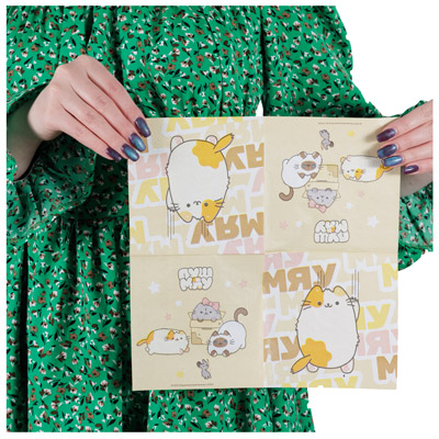 Салфетки Салфетка ПушМяу 25см 12шт