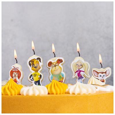 Свечи для торта Свечи на пиках Барбоскины, 5 штук