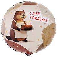  Шар круг 45см ДР Бобер 1202-4154