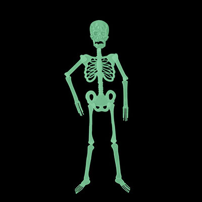 Светящиеся сувениры Скелет, светящийся в темноте, 90 см