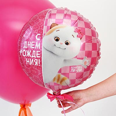 Шарики из фольги Шар круг 45см ДР Басик Кошечка Ли-Ли