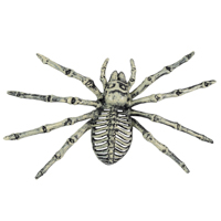 Вечеринка Хэллоуин Скелет паука 25х14см 1501-6874