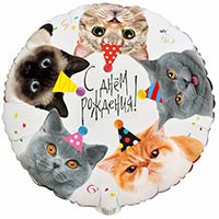 Шар круг 45см С ДР котики фотографичные