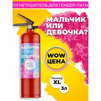 Мальчик или Девочка? Огнетушитель Гендер Пати, малиновый, 3л 1501-6417