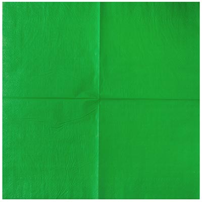 Салфетки Салфетка зеленая 33см 12шт