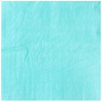 Салфетка бирюзовая 33см 12шт