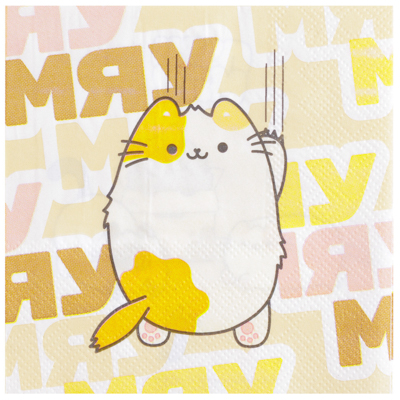 Пушмяу Салфетка ПушМяу 25см 12шт 1502-6769