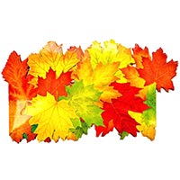 Ободок-корона Кленовые листья, 10 штук