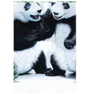 Скатерти Скатерть п/э Панды фотогр 130х180см