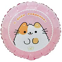 Шар круг 45см С ДР Кошка ПушМяу