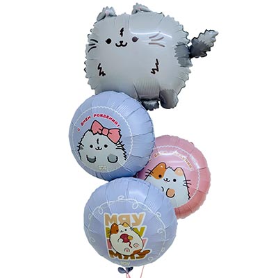 Шарики из фольги Шар круг 45см С ДР ПушМяу Кошка серая