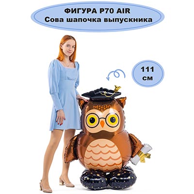 Шар напольный Сова шапочка выпускника
