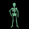 Вечеринка Хэллоуин Скелет, светящийся в темноте, 90 см 1501-5179