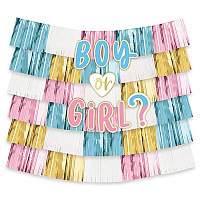 Мальчик или Девочка? Гирлянда-бахрома Boy or Girl? 1,5х2м 1505-2200