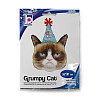 Шар фигура Grumpy Cat Кошка в колпаке