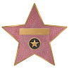  Звезда Голливуд Аллея Славы 30см 1505-1477