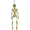  Скелет HWN пластиковый, 40 см 1501-4886