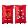 Шар фигура Паспорт