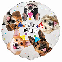 Собачки Шар круг 45см С ДР Собачки фотографичные 1202-4030