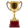 Футбол Кубок чемпиона 19см 1507-1723