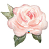 Цветы Любимым Шар фигура Роза Акварель 1207-3888