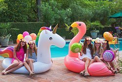   Фламинго вечеринка