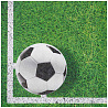 Футбол Салфетки Футбол зеленый, газон, 20 штук 1502-2023