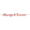 Любовь Navy Гирлянда-буквы Always&Forever 3,6м 1505-2018
