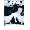 Скатерть п/э Панды фотогр 130х180см