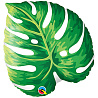 Лист Пальмы Шар фигура Лист тропический 1207-3440