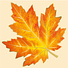  Баннер Лист кленовый оранжевый, 20 штук 1505-1719